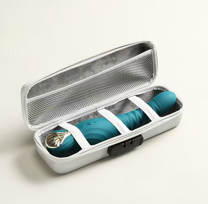 Boîte de Rangement Discrète pour Sextoys avec Serrure Portable
