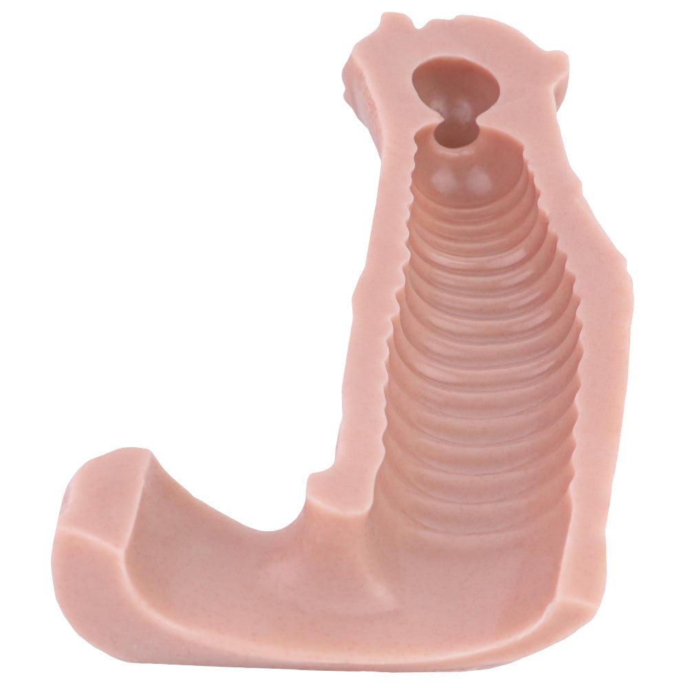 Gaine à Pénis Cheval Fantasy 18 cm En Silicone Souple