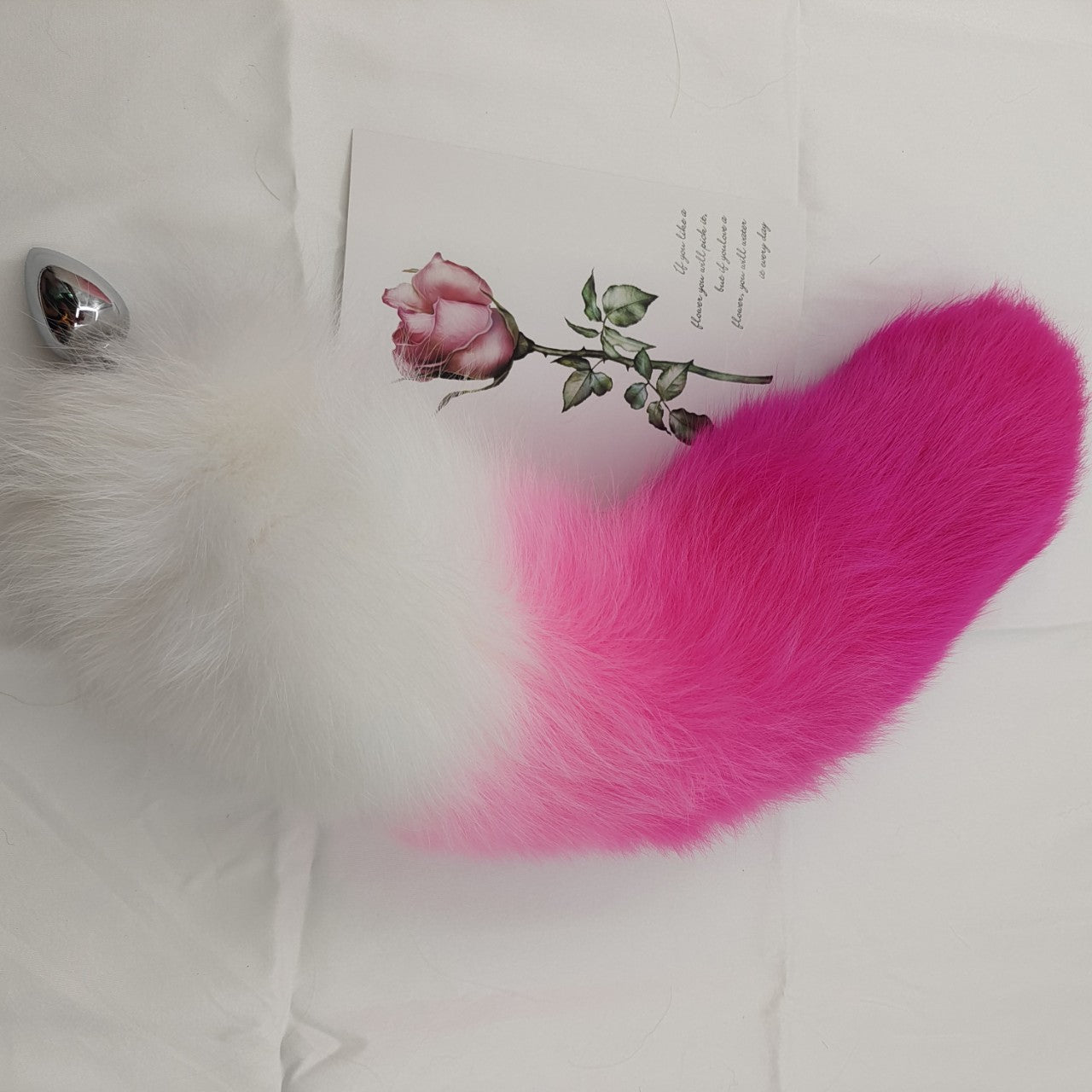 Rose Mignon Plug Anal Queue Renard