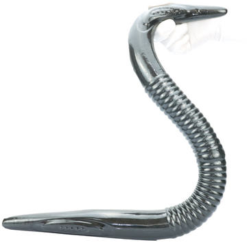 76 Cm Gris Murène Double Gode