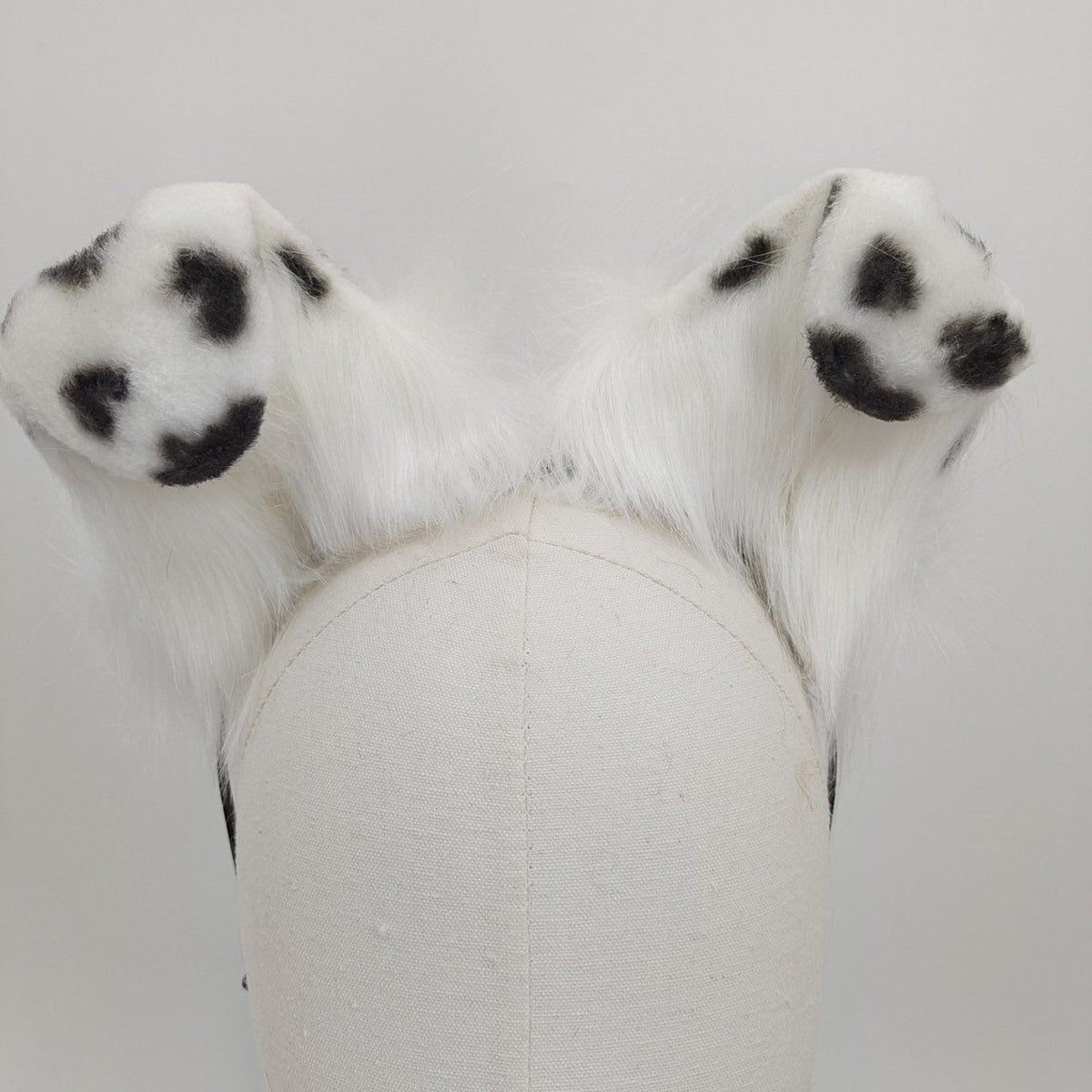 Blanc Kit Plug Anal Queue de Chien