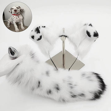 Blanc Kit Plug Anal Queue de Chien