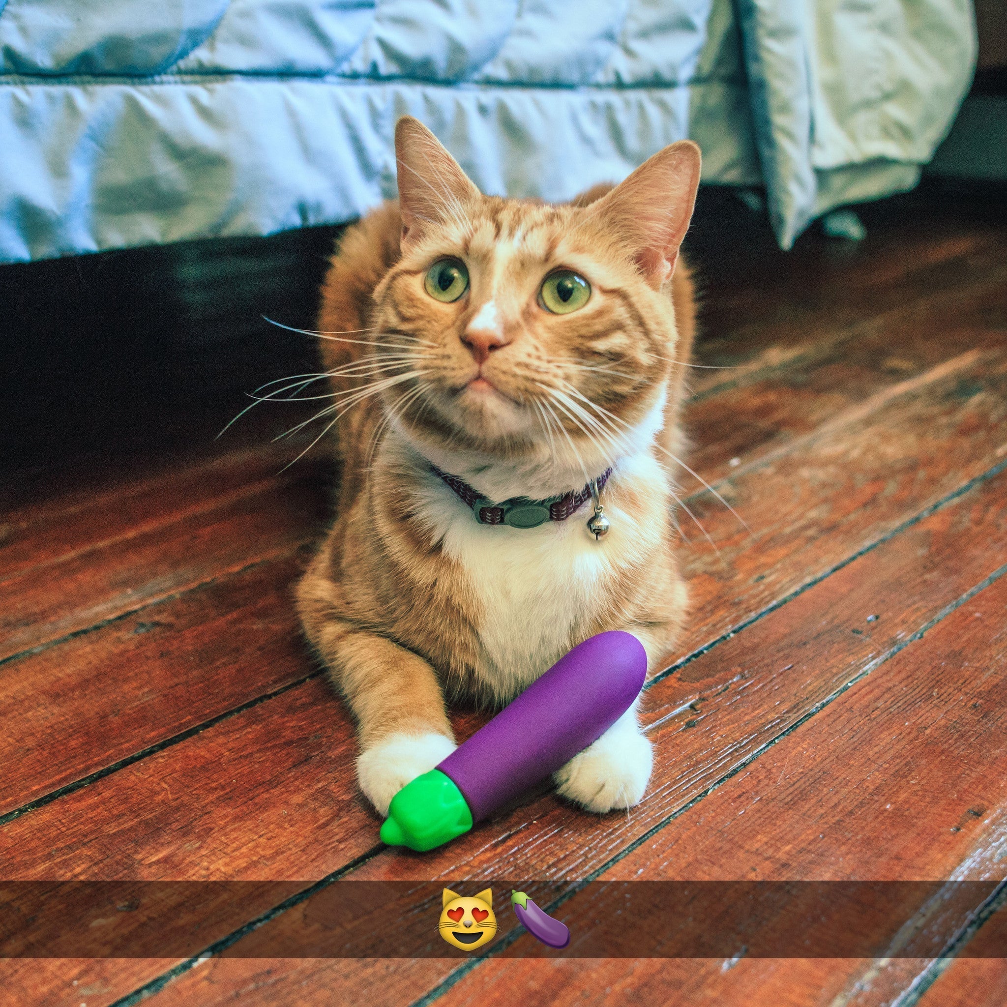 Violet Aubergine Mini Vibromasseur Clitoridien
